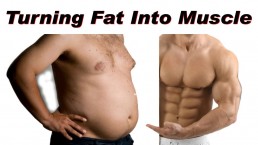 The Life Upgrades - Turning Fat to Muscle Myth