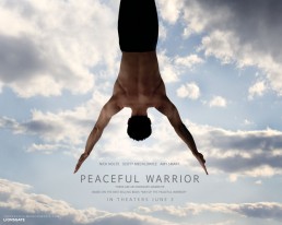 The Life Upgrades - Peaceful Warrior